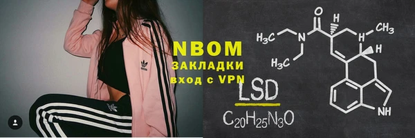 твердый Ладушкин