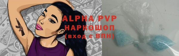 spice Краснослободск