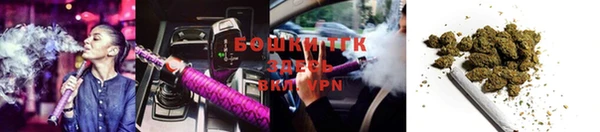 крисы Красноперекопск