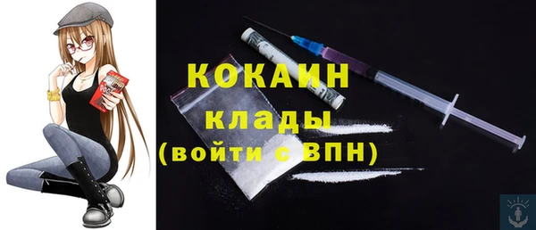spice Краснослободск