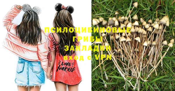 spice Краснослободск