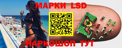 СК Волгодонск