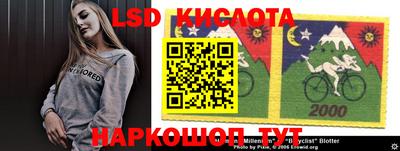 СК Волгодонск