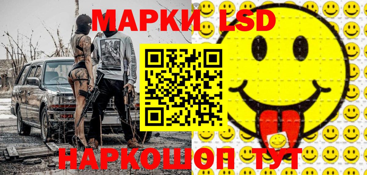 A PVP Новочеркасск