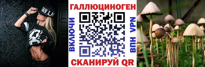 наркотики  Новочеркасск  Псилоцибиновые грибы мицелий 