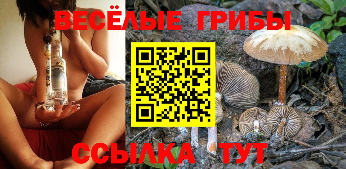 Новочеркасск  Галлюциногенные грибы Psilocybe  где купить наркоту  Вход с VPN 