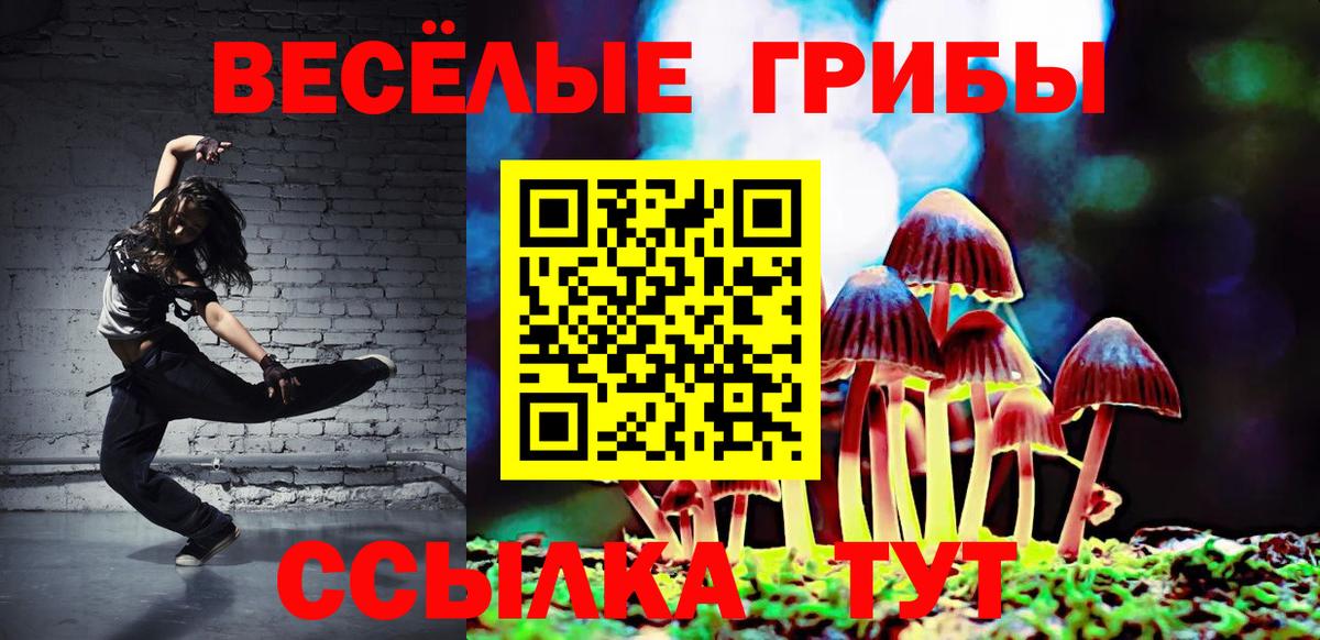 Псилоцибиновые грибы ЛСД Новочеркасск
